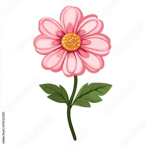 Obraz pink daisy flower