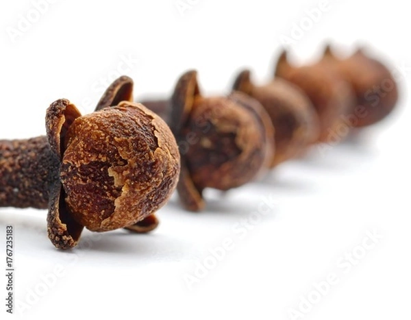 Obraz Close-up of dried, brown spice buds with textured surfaces, white backdrop