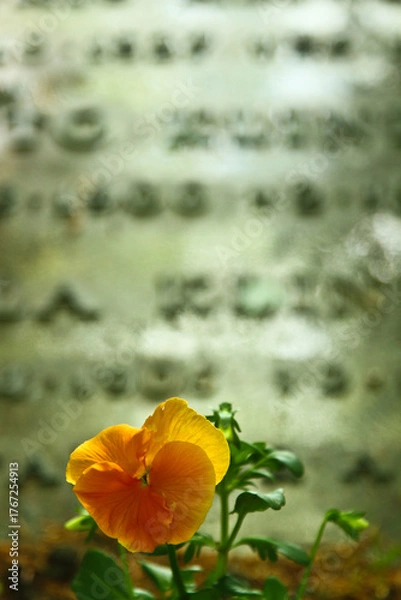 Obraz Høsterkøb graveyard 2009