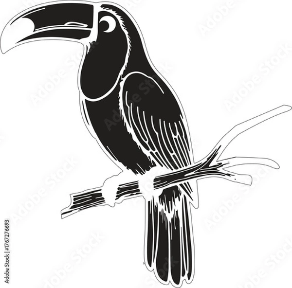 Fototapeta toucan bird on a branch