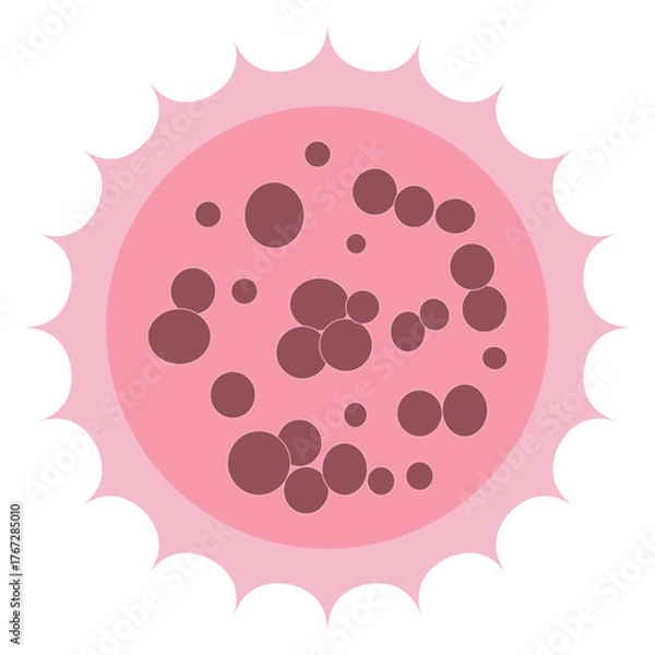 Fototapeta Morula 32 Cell Stage Compact Embryo Cell Cluster