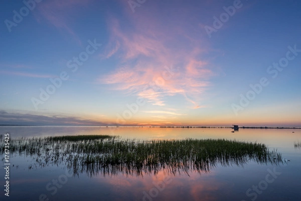 Fototapeta Evening sunlight on coast, pink clouds, blue sky reflection on water. Beach in summer. Seaside natural environment. Shore in Kesselaid, small island in Estonia. Nature Reserve in North Europe