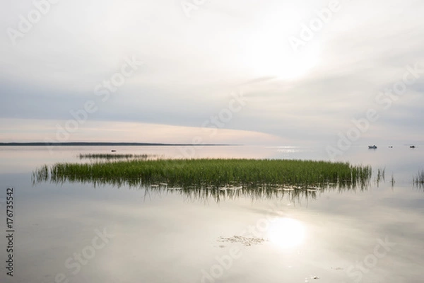 Fototapeta Evening sunlight on coast, pink clouds, blue sky reflection on water. Beach in summer. Seaside natural environment. Shore in Kesselaid, small island in Estonia. Nature Reserve in North Europe 