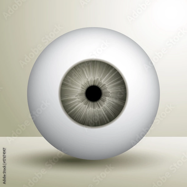 Obraz eyeball