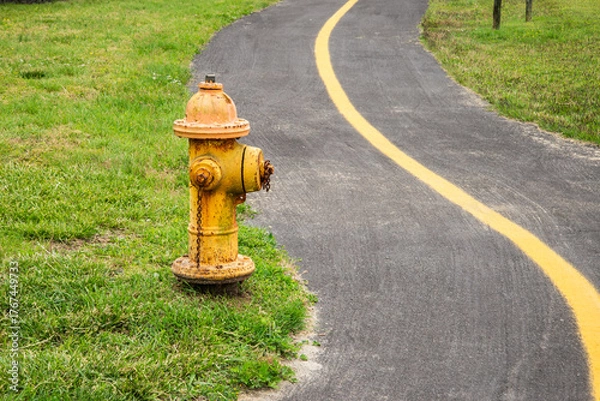 Fototapeta yellow fire hydrant