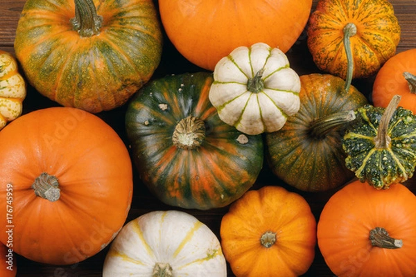 Obraz Many Pumpkins background