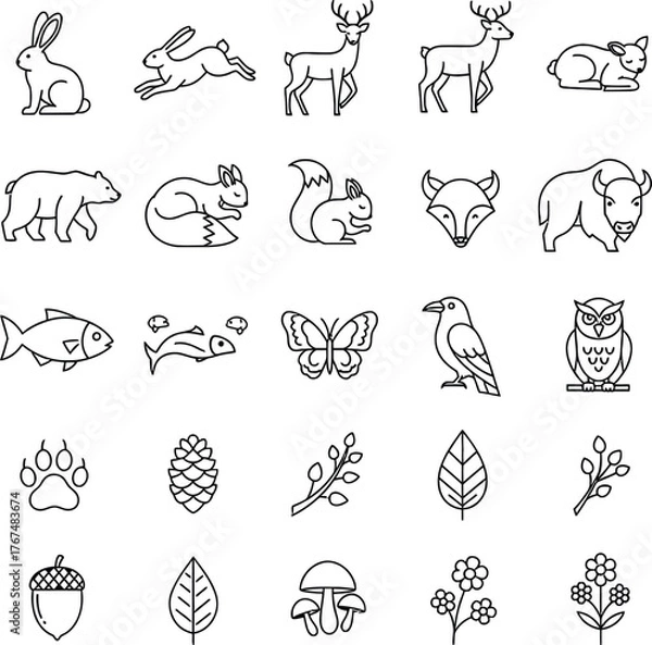 Fototapeta Collection of hand drawn forest animals and nature elements in outline style