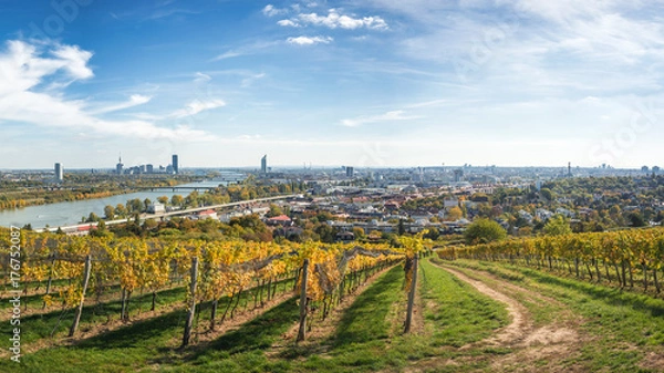 Obraz Wien Panorama über Weinberge 