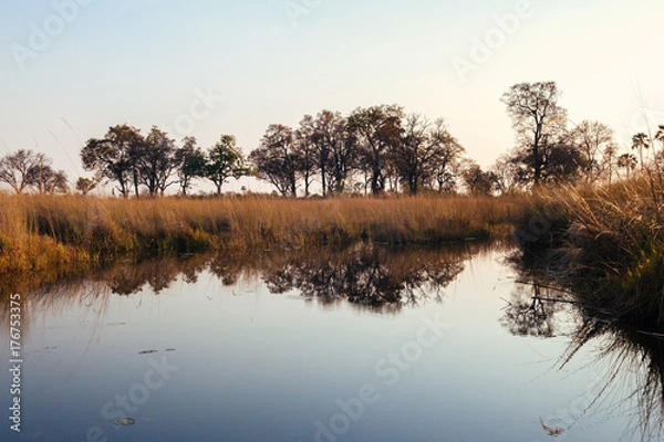 Obraz Okavango river