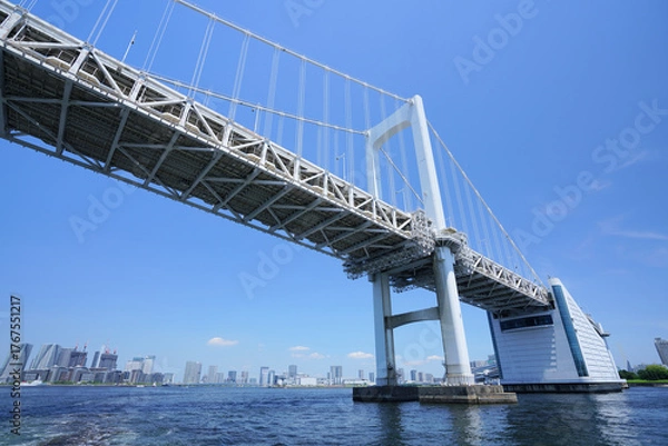 Fototapeta View from under suspension bridge in Tokyo 