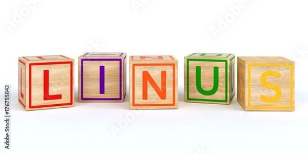 Obraz Name Linus bunte Würfel