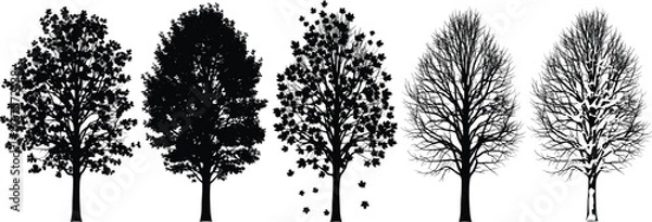 Fototapeta Silhouette tree seasonal transition vector showing summer, autumn, winter changes with human figure under bare tree for nature conceptSilhouette tree seasonal transition vector showing summer, 