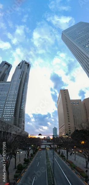 Obraz 新宿副都心