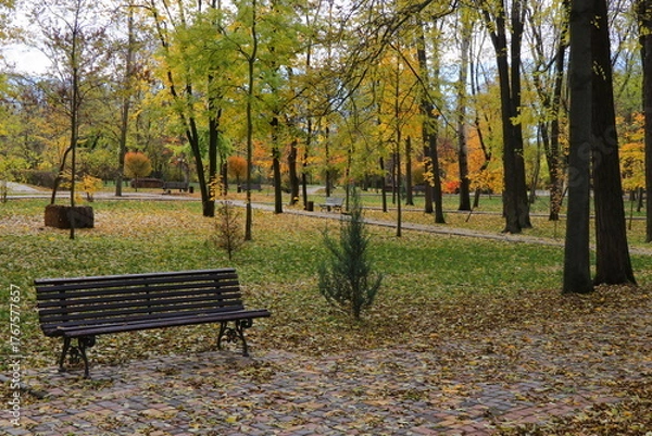 Fototapeta Beautiful autumn park filled with golden-yellow trees, cozy benches, and winding walking paths. Fallen leaves cover the ground, creating a peaceful and romantic atmosphere perfect for relaxation