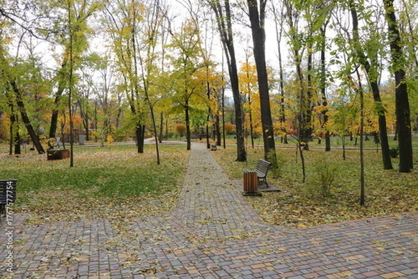 Fototapeta Beautiful autumn park filled with golden-yellow trees, cozy benches, and winding walking paths. Fallen leaves cover the ground, creating a peaceful and romantic atmosphere perfect for relaxation