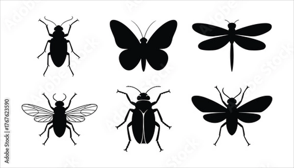 Obraz Six black insect silhouettes including butterfly beetle dragonfly fly white