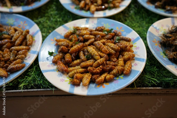 Obraz piatto di larve