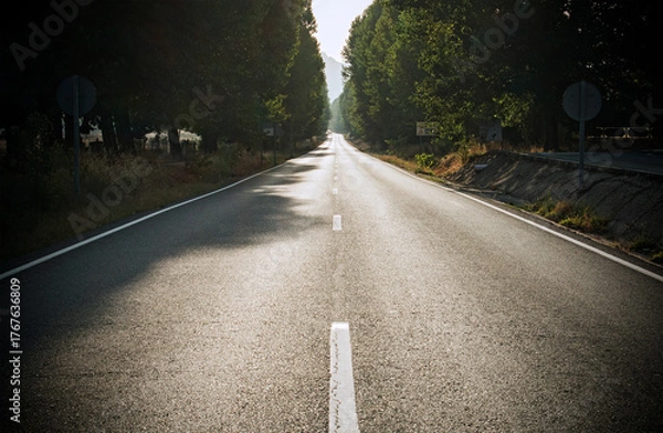Obraz Road crossing the forest, landscape