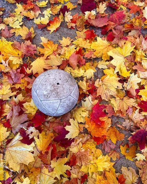 Fototapeta Colorful Autumn Leaves Surround a Weathered Ball Resting on the Ground During Fall