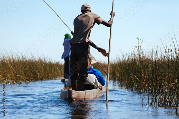 Obraz Man in canoe , Okavango river 