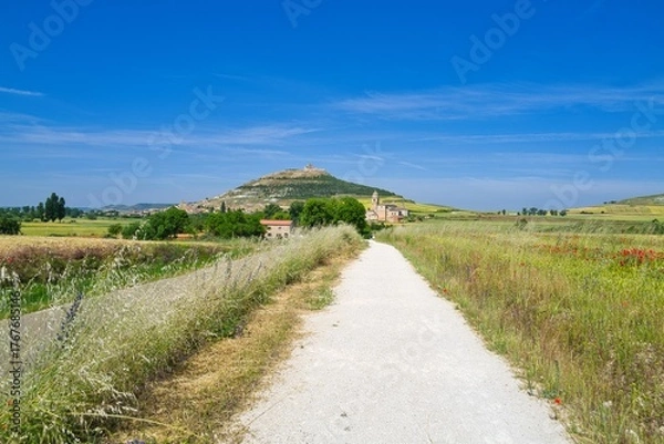 Fototapeta 길거리 경관 자연 네이처 들판