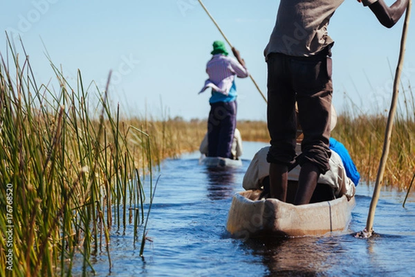 Obraz Man in canoe , Okavango river 