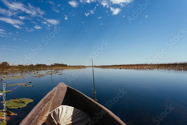 Obraz Okavango river, Okanvango delta,  Botswana