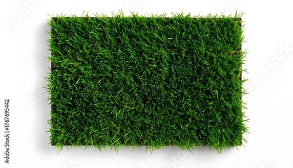 Obraz Aerial top view of a rectangular patch of lush green artificial grass turf isolated on a clean white background with a shadow
