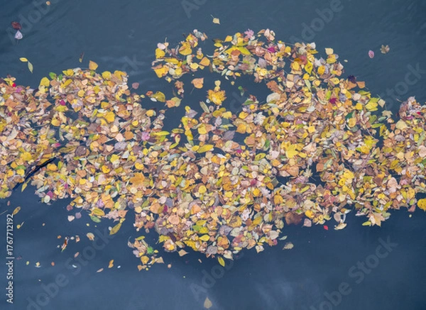 Obraz Gefallenes Herbstlaub treibt auf der Wasseroberfläche