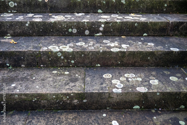Fototapeta Mit Vogelkot verschmutzte Steintreppe