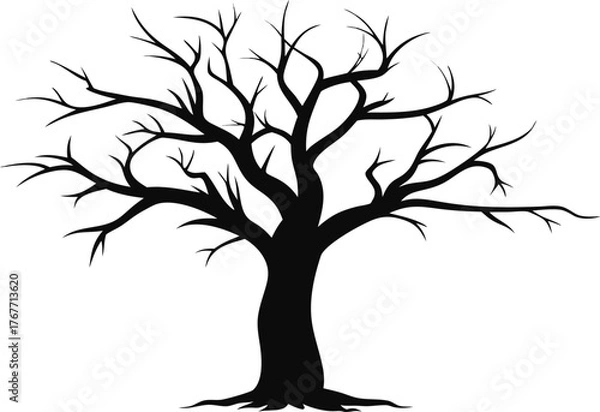 Fototapeta Silhouette of a bare deciduous tree against a white background