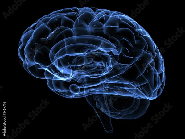 Obraz mózg