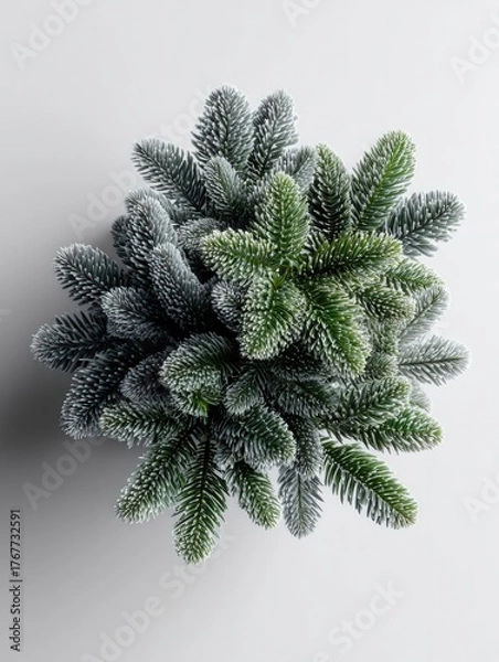 Obraz Close up view of flocked evergreen branches arranged in a circular pattern against a light background