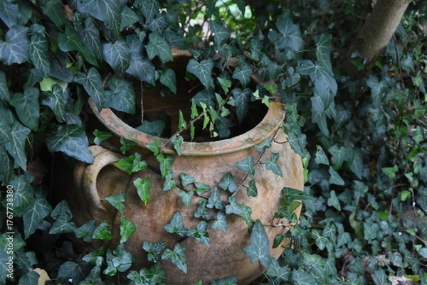 Obraz Eingewachsener Topf