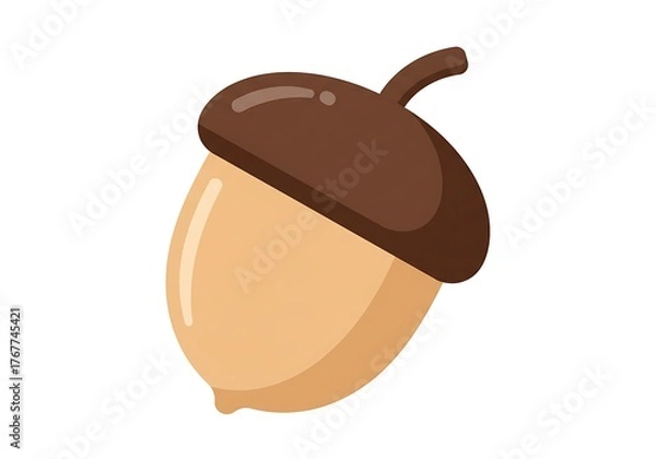 Fototapeta Cute cartoon acorn illustration isolated on white background. Simple vector graphic of an autumn nut, fall symbol, and nature design element.