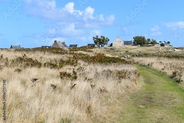 Obraz île d'OUESSANT BRETAGNE