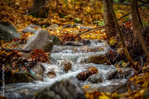 Obraz Jesienna rzeka