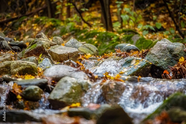 Obraz Jesienny strumień
