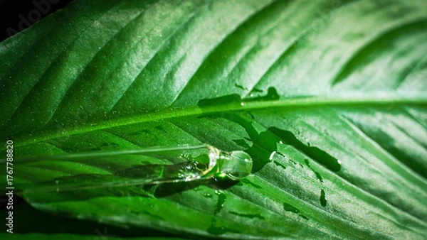 Obraz Scientist Hand with Dropper on Green Leaf