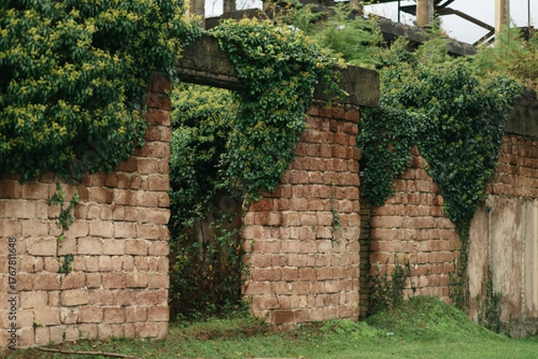 Fototapeta Abandoned Building Overgrown with Greenery