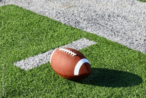 Obraz Football on the turf field