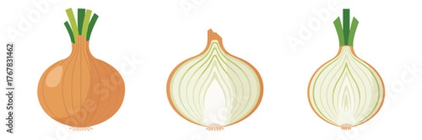Fototapeta Single onion icons, full bulb, sliced half view, delicate ring layers, home cooking element, vegetable design vector set