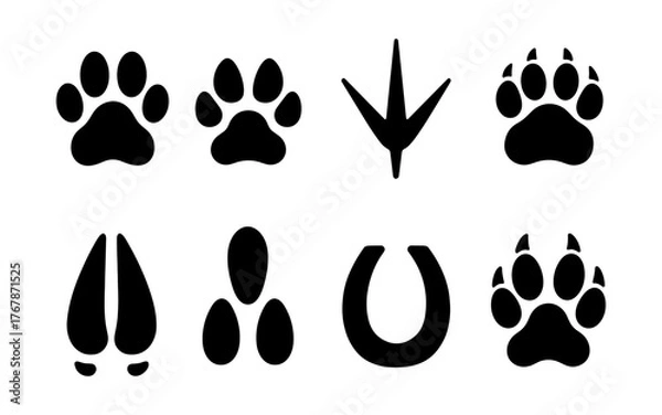 Obraz Silhouette set of animal tracks including dog paw, cat paw, bird footprint, bear track, deer hoof, horse shoe, and wild animal prints.