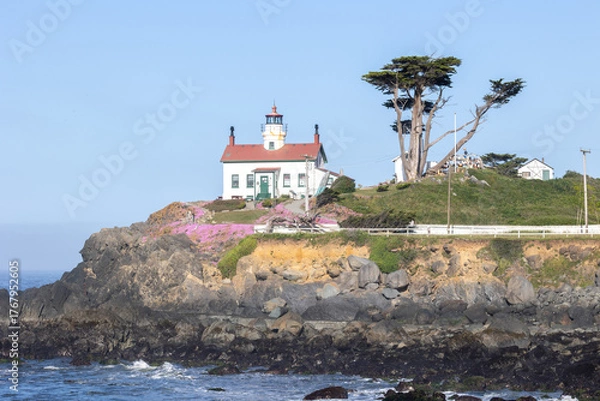 Obraz Lighthouse in Crescent City California with flower in bloom