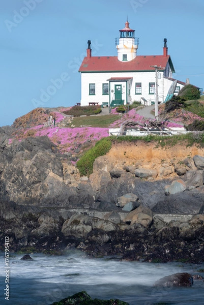 Obraz Lighthouse in Crescent City California with flower in bloom