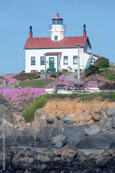 Obraz Lighthouse in Crescent City California with flower in bloom