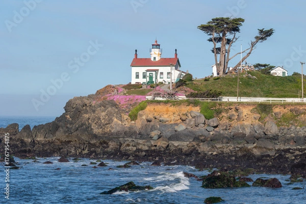 Obraz Lighthouse in Crescent City California with flower in bloom