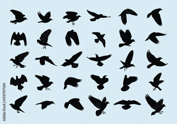 Obraz Vector silhouettes of birds in flight, various species and wing positions, isolated on light background, graphic illustration, nature theme, top view design