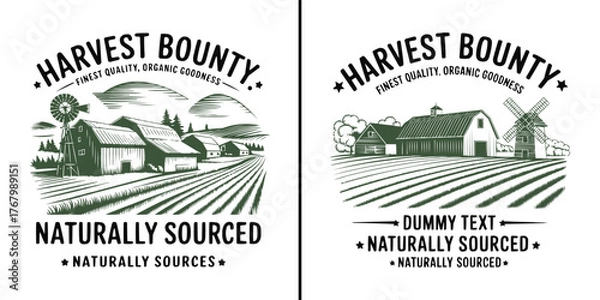 Fototapeta Vintage farm logo badges with barn, windmill and fields in engraving style for organic natural branding