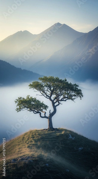 Fototapeta arbre de solitude